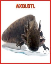 Axolotl
