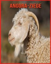 Angora-Ziege