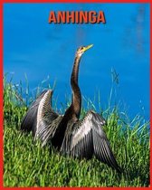 Anhinga