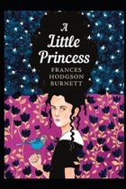A Little Princess Illustrated