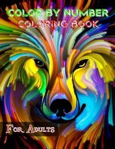 Color By Number Coloring Book For Adults