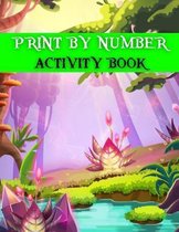 Print By Number Activity Book