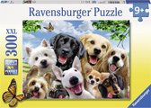 Delighted Dogs - Puzzle mit 300 Teilen