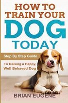 How to Train Your Dog Today