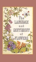 Language & Sentiment Of Flowers