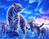Paint By Numbers - Schilderen op Nummer - Tijgers in het Noorderlicht - 40x50cm - Volwassenen - Stipco