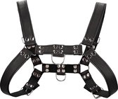 Chest Bulldog Harness - Premium Leather - Black/Black -  - S/M - Bondage Toys