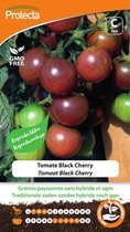 Protecta Groente zaden: Tomaat Black Cherry