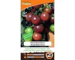 Protecta Groente zaden: Tomaat Black Cherry