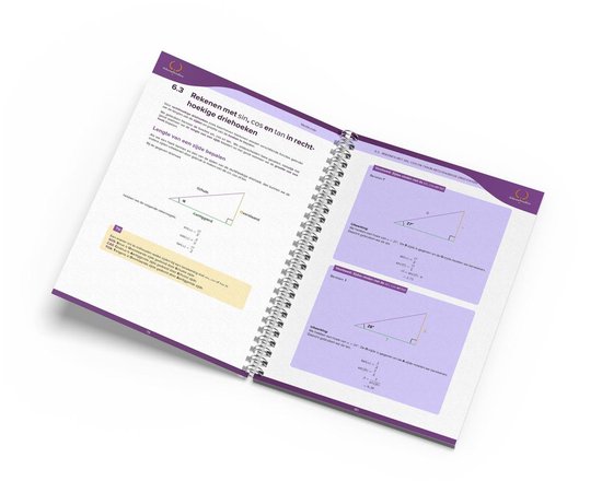 Athena Examenklaar - Wiskunde B VWO - Examenbundel met voorbeelden