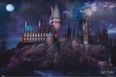 Grupo Erik Harry Potter Hogwarts  Poster - 91,5x61cm