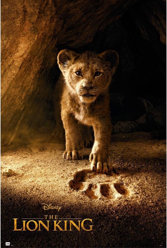 Poster Disney El Lion King Simba Real Action 61x91,5cm