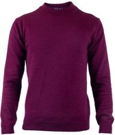 Rox - Heren trui Scott - Bordeauxrood - Slim Fit - Maat XL