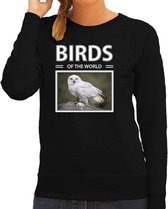 Dieren foto sweater Sneeuwuil - zwart - dames - birds of the world - cadeau trui uilen liefhebber XS
