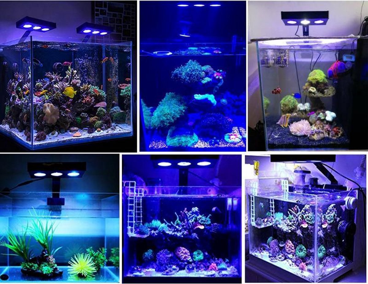 PetPetrol Zee aquariumverlichting - Aquariumverlichting - LED verlichting  aquarium -... | bol.com