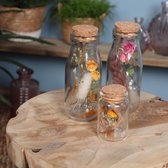 Droogbloemen - Set van 3 - Decoratieve flesjes - Flesjes van glas - Mix droogbloemen - Geschenk voor haar - Cadeau - Rozen - Flesjes met kurk