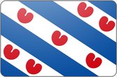 Vlag Friesland - 200 x 300 cm - Polyester