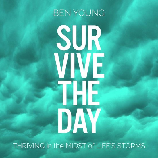 Survive the Day - cover