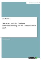 Wie wirkt sich der Grad der Selbstbestimmung auf die Lernmotivation aus?