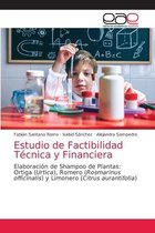 Estudio de Factibilidad Técnica y Financiera