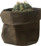 de Zaktus - Echniocactus Brevispinus - cactus - paper bag Olive - Maat L