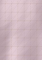 Inpakpapier Cadeaupapier Roze met Grafische vormen- Breedte 30 cm - 100m lang