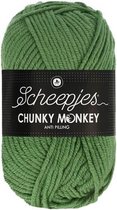 Scheepjes Chunky Monkey- 1824 Pickle 5x100gr