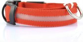 Led halsband voor honden met led verlichting - Rood - maat S/M/L beschikbaar - Maat L (41-52cm)