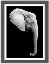 Foto in frame , Olifant , 3 maten , Zwart wit , wanddecoratie , Premium print