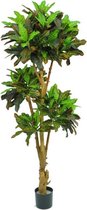 Croton kunst bonsai deluxe 175 cm