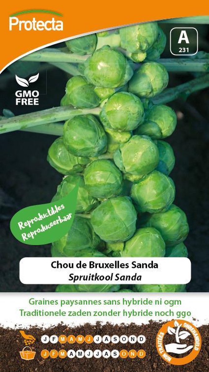 Protecta Groente zaden: Spruitkool Sanda