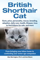 British Shorthair Cat: From Bringing Your Kitten Home to Comforting Your Senior Age Companion
