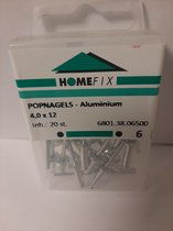 Popnagels-Aluminium 4.0x12mm. lang. 20 Stuks. Homefix.