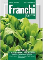 Franchi Cichorei, Cicoria Bonda foglie larghe 40/25