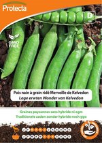 Protecta Groente zaden: Lage erwten LINCOLN