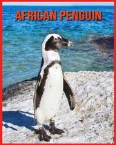 African Penguin