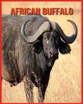 African Buffalo
