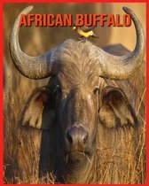 African Buffalo