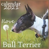 Ilove Bull Terrier