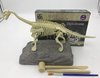 Afbeelding van het spelletje Dinosaurus opgravingsset - Diplodocus - Speelgoed - Dino fossiel