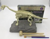 Dinosaurus opgravingsset - Diplodocus - Speelgoed - Dino fossiel