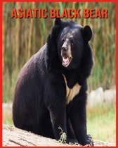 Asiatic Black Bear