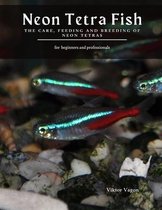 Neon Tetra Fish