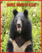 Ours Noir d'Asie