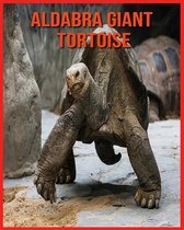 Aldabra Giant Tortoise