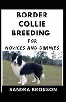 Border Collie Breeding For Novices And Dummies