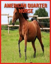 American Quarter Horse