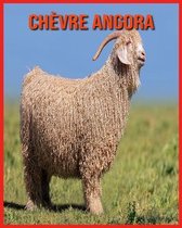 Chevre Angora