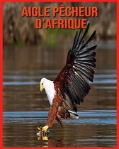 Aigle Pecheur d'Afrique