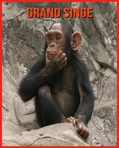 Grand Singe
